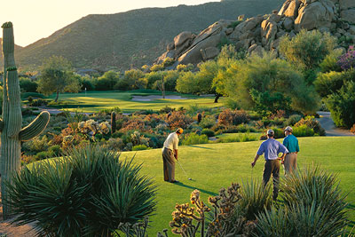Scottsdale Snapshot